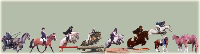 défilé de poneys